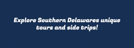 App-Tours & Side Trips Description